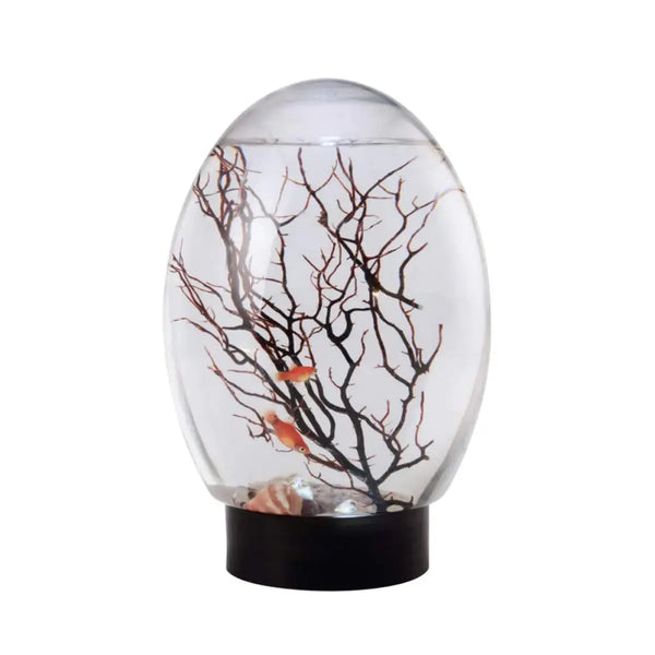 1PCS Mini Aquarium Fish Tank Ecosphere Closed Aquatic Ecosystem with LED Light Desktop Aquarium Stable Black Base No Need to Feed or Change Waterbiosphere Ecosystem Zooko