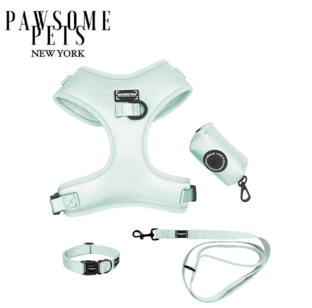 Ensemble Promenade pour Animaux Bundle Vert Menthe PAWSOME PETS