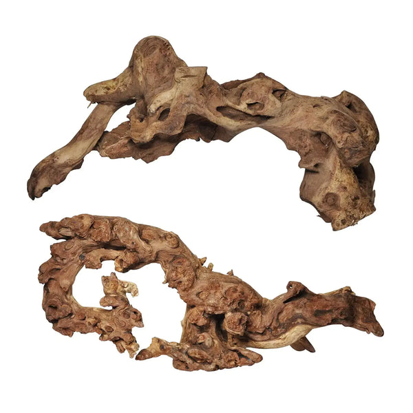 Aucks Natural Large Driftwood for Fish Tank Decoration12 Inch-13.5 Inch Pack of 2 Pieces Driftwood for Aquarium Reptile Decor Zooko