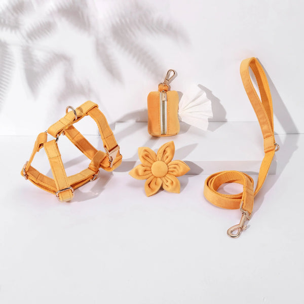 STEP IN FLORAL BUNDLE - LIGHT ORANGE(4 pieces)-0