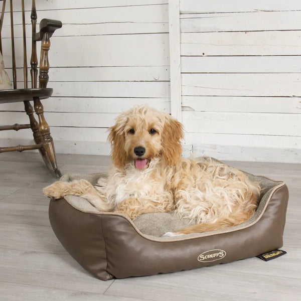 Chateau Memory Foam Orthopaedic Box Dog Bed (Dove, Latte) by Scruffs-0