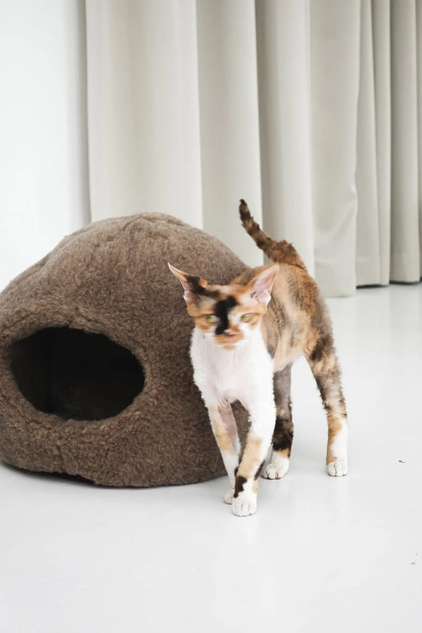 Nest Natural Sheepskin Pet Bed - Beige-0