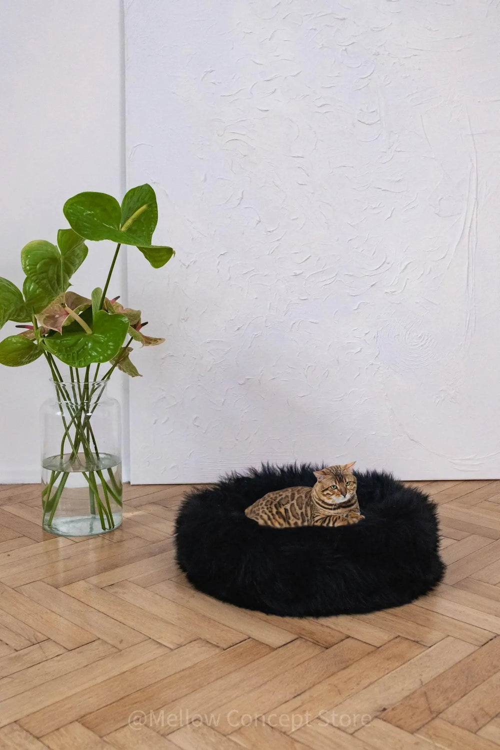 Round Natural Sheepskin Pet Bed - Black-0
