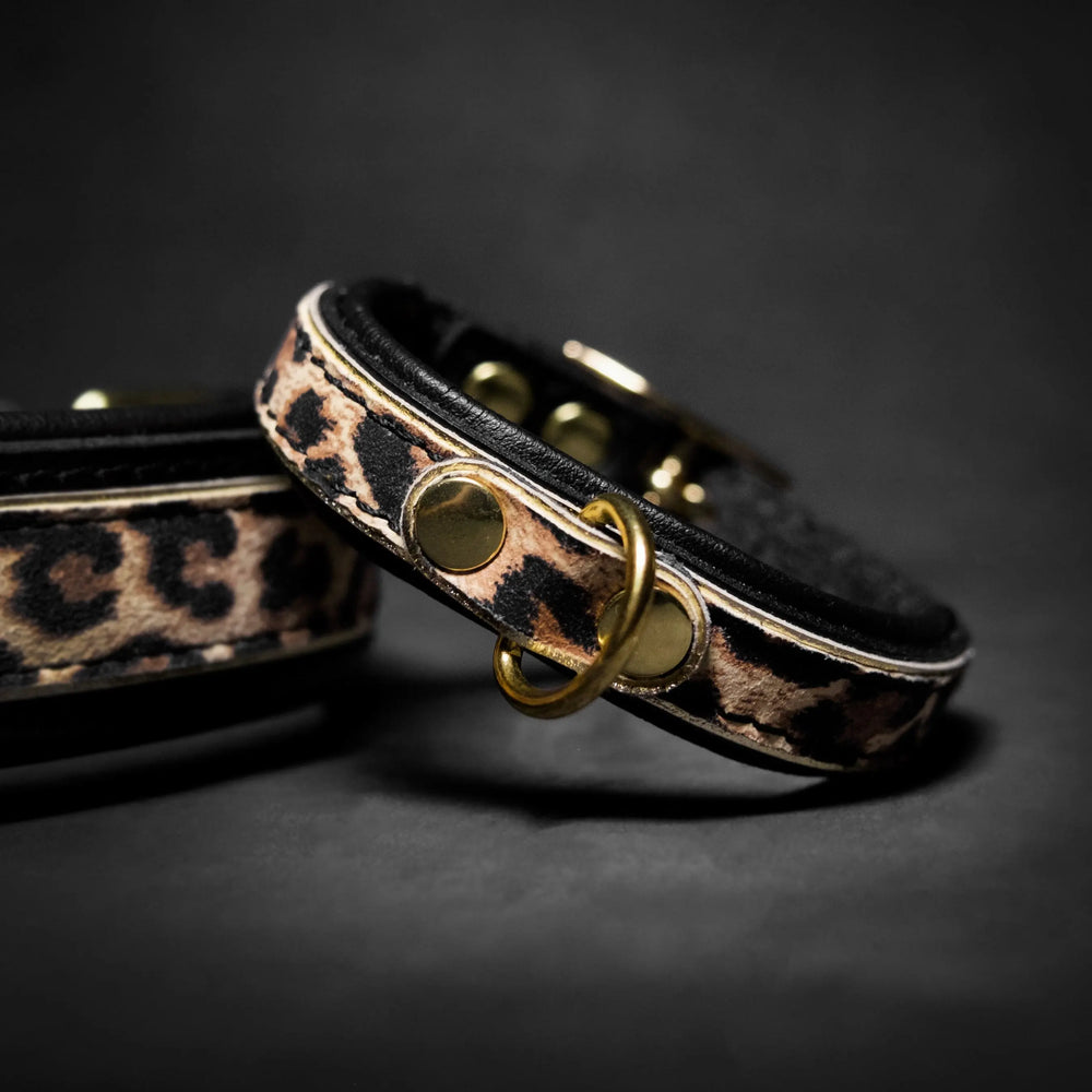 The Leopard Puppy Collar-0