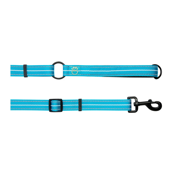 Laisse réfléchissante Bleu fluo GF Pet