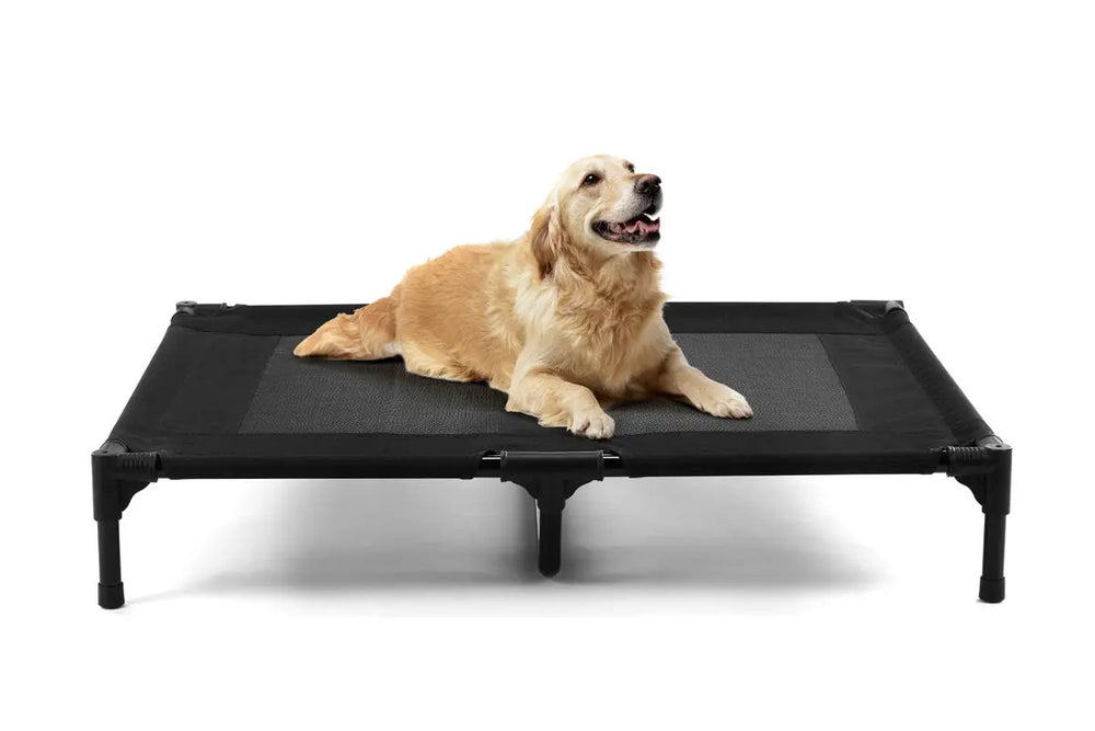 NNEKG Pets Dog Trampoline Bed (X Large)-0