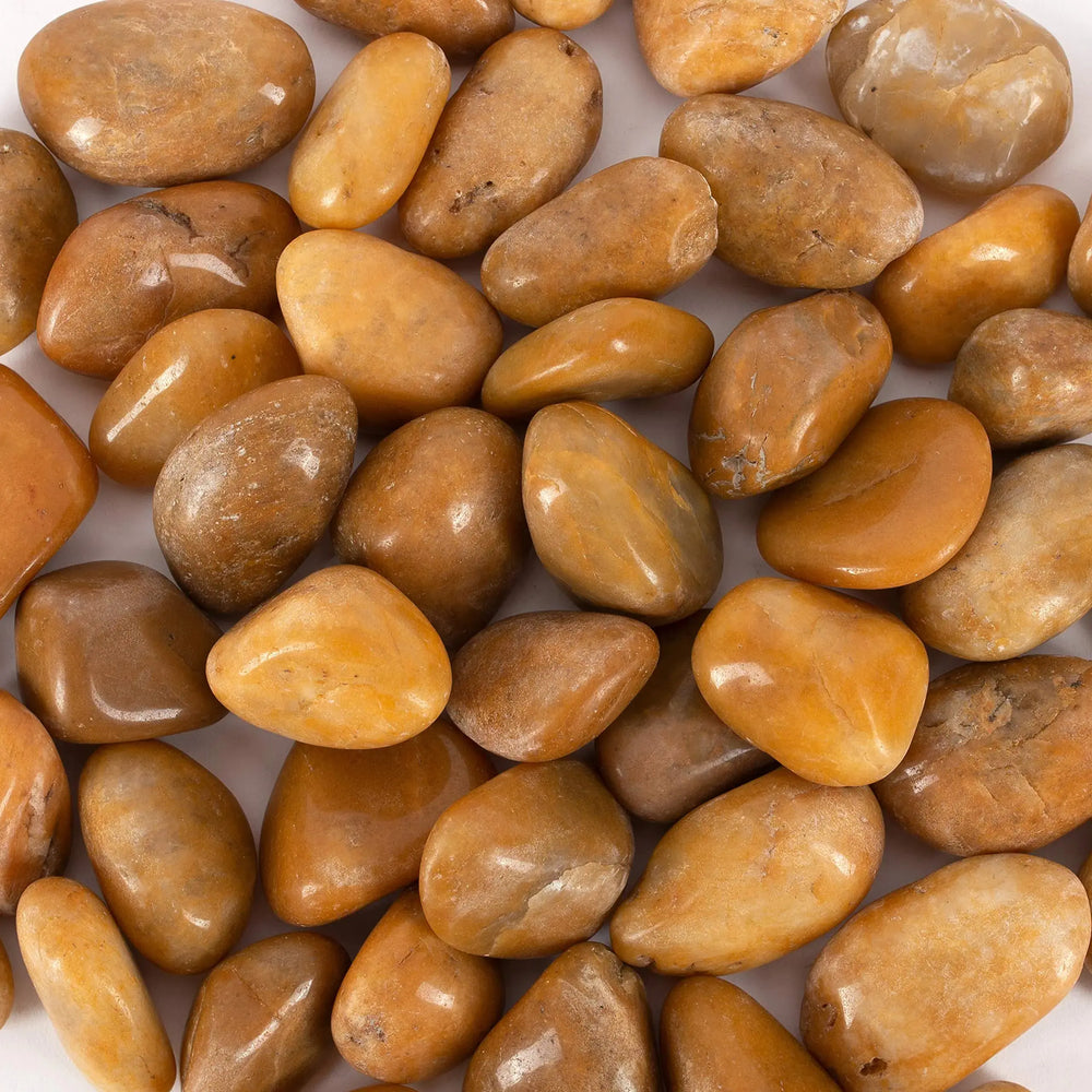Galashield River Rocks Pebbles for Plants Natural Decorative Polished Stones for Planters Succulent Rocks Aquarium Gravel (5 lb Bag) Zooko