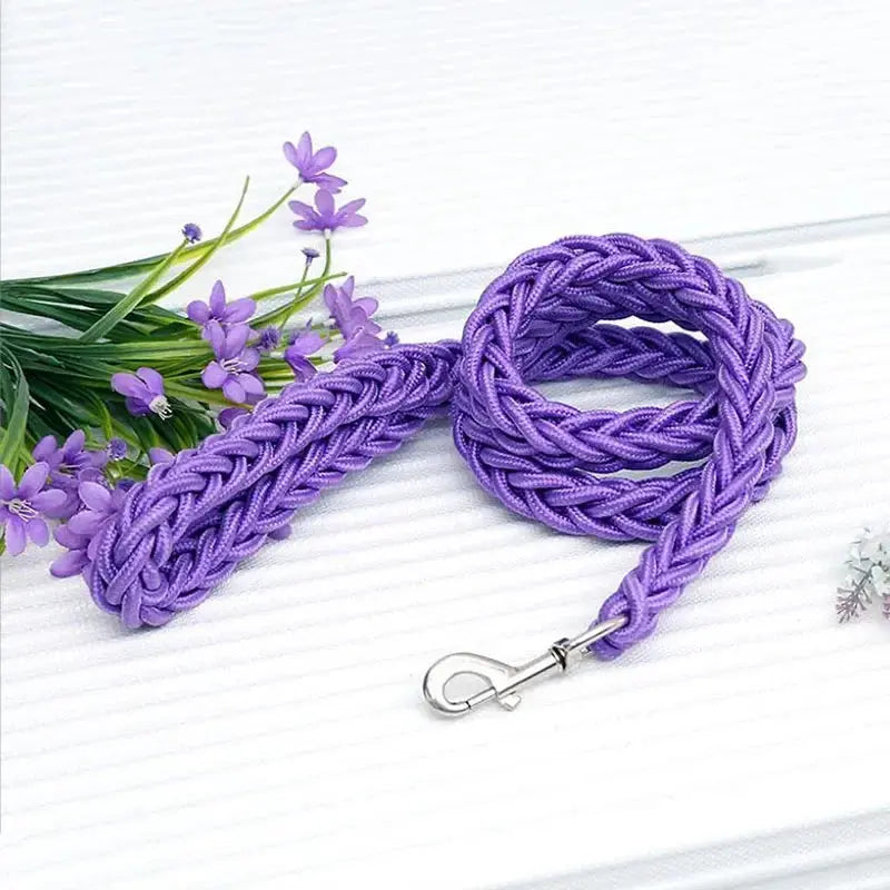 Laisse pour chien en nylon pour chien Zooko