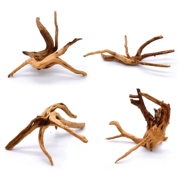 kathson Aquarium Driftwood Natural Wood Driftwood Tree Fish Tank Decoration Assorted Branches Ornament for Fish Shrimp Aquatic Animals Play(4pcs) Zooko