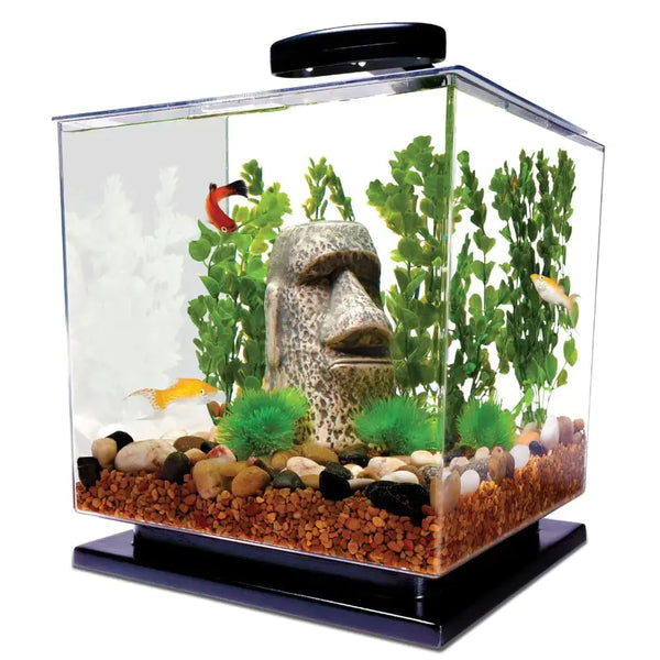 Tetra 3 Gallon Fish Tank Aquarium Starter Kit with Pedestal Base LED Light and Filter For small tropical fish guppies goldfish or betta Zooko