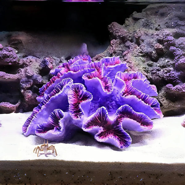 RVQIGYP Fish Tank Decoration Coral Aquarium Decoration Simulation Coral Decoration Fighting Fish Dodge Cave Betalie Fish Home Colorful Coral Mountain (Large Purple Coral) Zooko