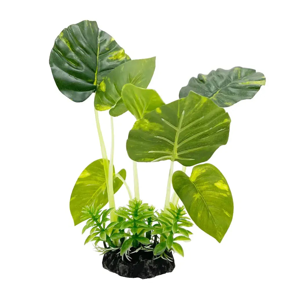 Smoothedo-Pets Aquarium Plants Fish Tank Decorations 5inch Plastic Artificial Plant Goldfish Waterscape Betta Fish Hides/Rest (Rainforest Leaf) Zooko