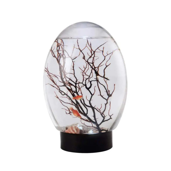 Biosphere EcosystemMini Aquarium Fish Tank Ecosphere Closed Aquatic Ecosystem with Led Light Desktop Aquarium Stable Black Base No Need to Feed Or Change Water Zooko