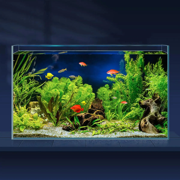LAQUAL 10 Gallon Ultra Clear Glass Fish Tank Rimless Low Iron Aquarium for Betta/Nano/Goldfish/Snail/Shrimp Big Fish Tank & Cover Set & Feeding Ring & Cleaning Tools Zooko