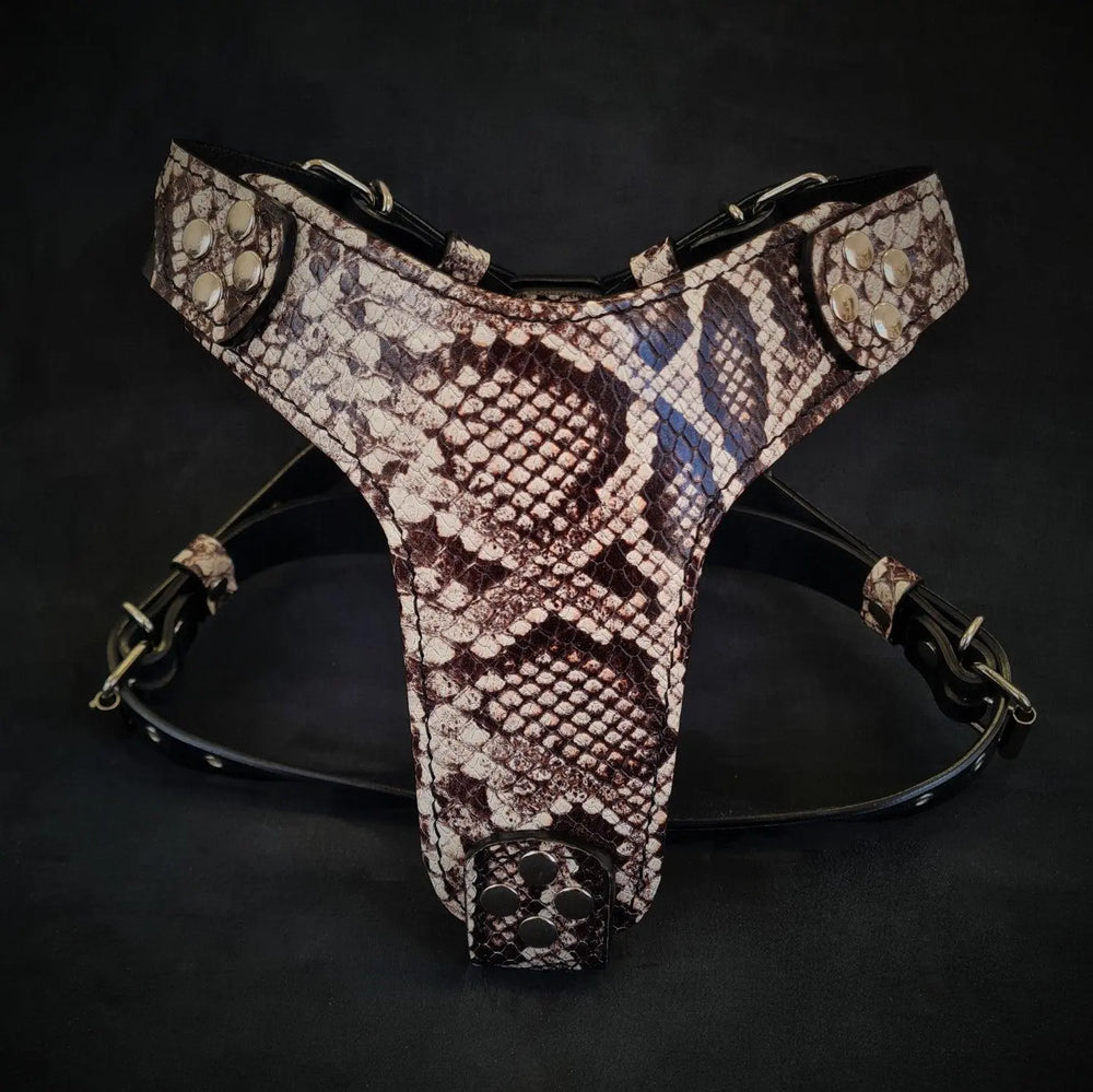 The ''Rock Python'' harness Small to Medium Size-0
