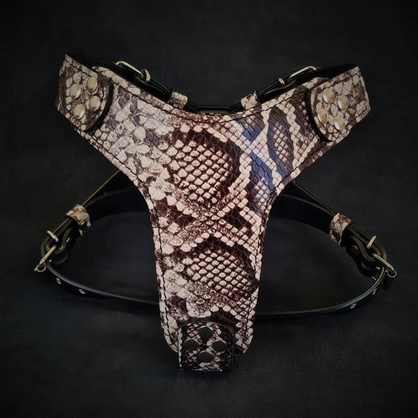The ''Rock Python'' harness Small to Medium Size-0