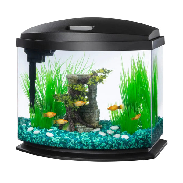 Aqueon 00800201: Aquarium Kit Mini Bow Led Blk 5G Zooko