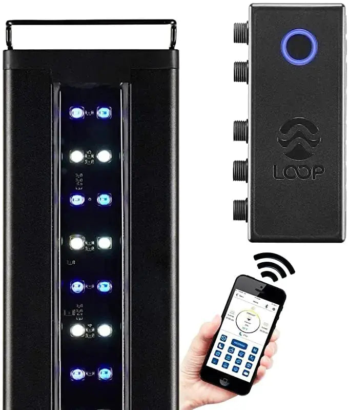 CURRENT USA 72" Inch Orbit Marine IC LOOP LED Saltwater Reef Marine Aquarium Light with Bluetooth App Control | Wireless Lighting & eFlux Wave Pump Control for Fish Tank (4208) Zooko